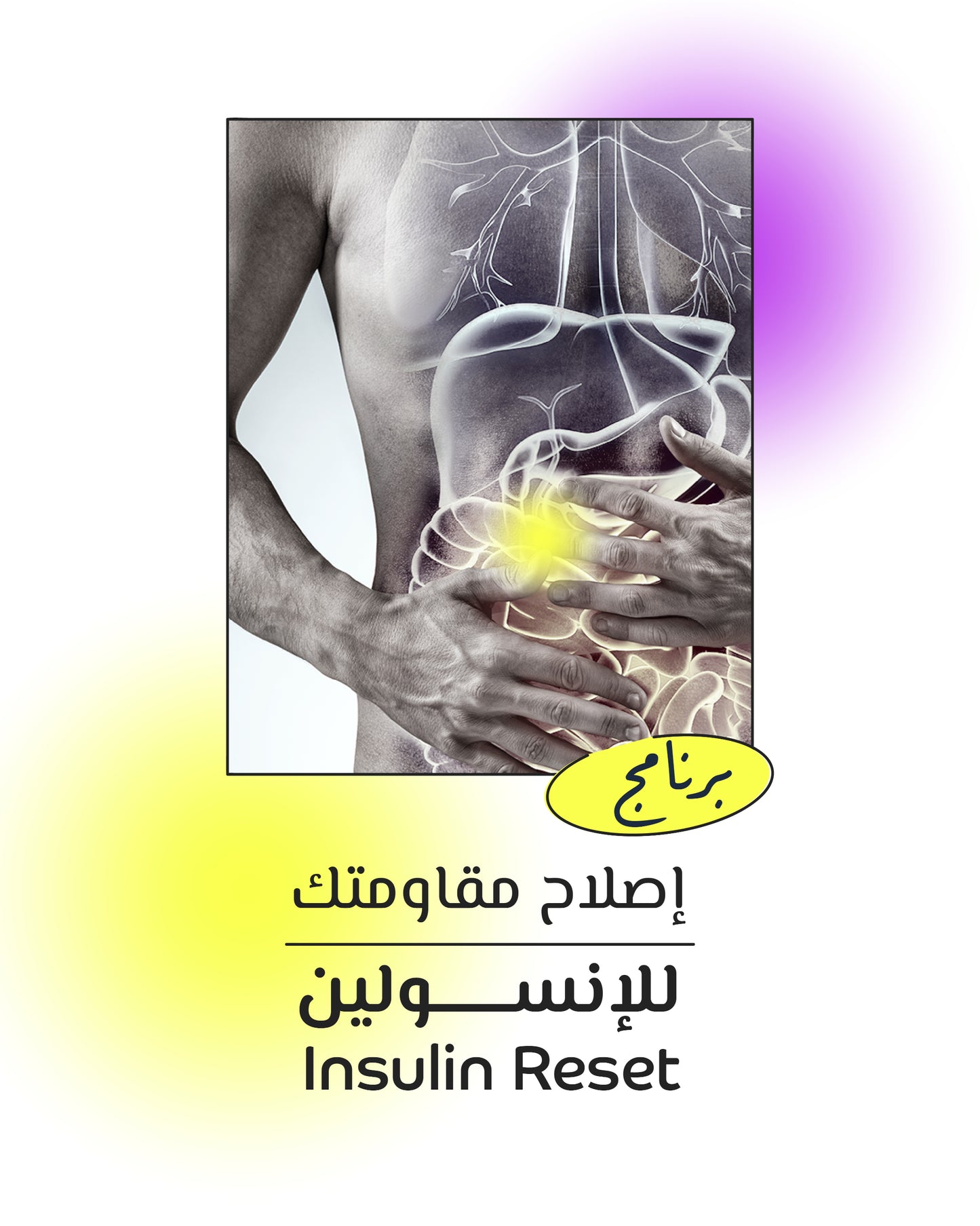 Insulin Reset Program